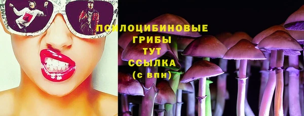 гидропоника Сясьстрой