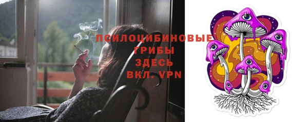 дживик Тавда