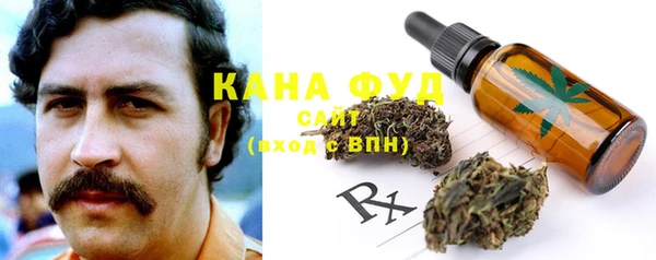 дживик Тавда
