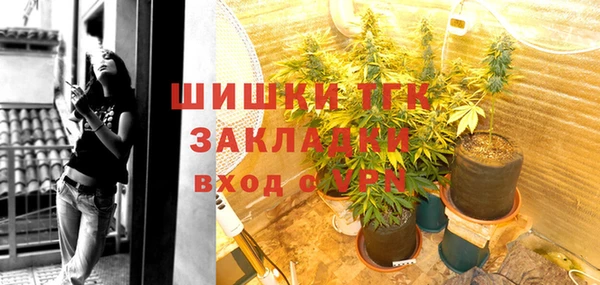 дживик Тавда