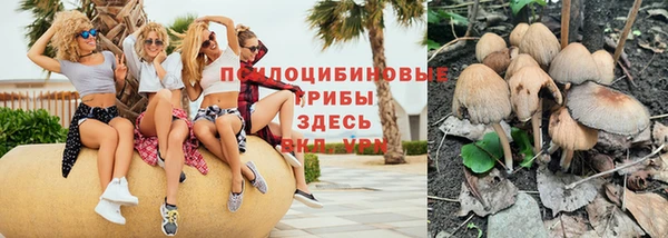 дживик Тавда