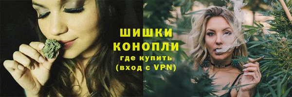 гидропоника Сясьстрой