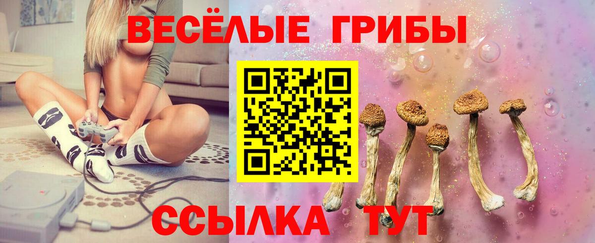 Галлюциногенные грибы MAGIC MUSHROOMS  Вход с VPN  Южноуральск  Псилоцибиновые грибы Cubensis 